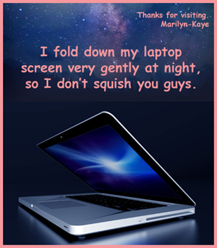 Laptop Marilyn-Kaye