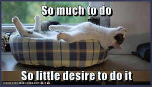 So much to do. So little desire to do it.
