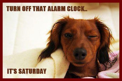 Turn off that alarm clock, it's Saturday!