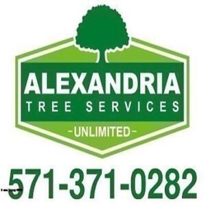 alexandria tree services logo.jpg  