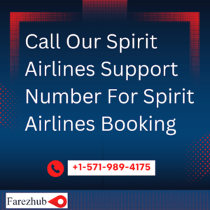 call spirit airline number (1).png  