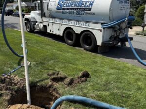 Untitled design (7).jpg &nbsp;